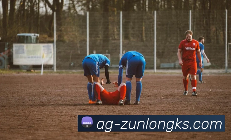 尊龙凯时官网APP 体育赛事宣传图